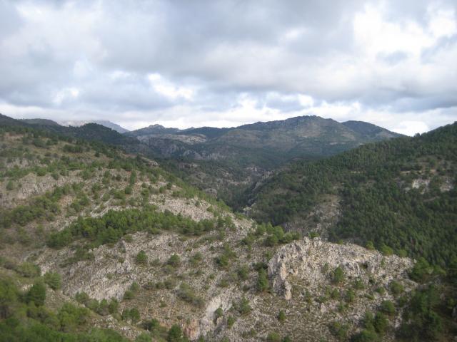 image Bosque mediterráneo de montaña