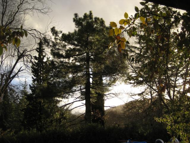 image Sierra de Cazorla