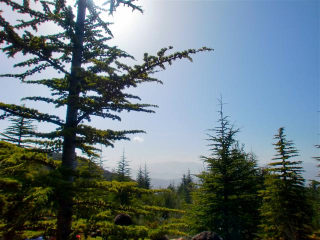 image Sierra de Cazorla