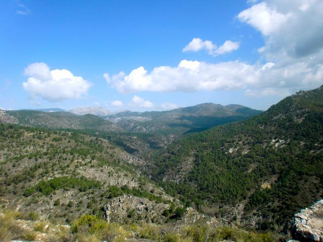 image Bosque mediterráneo