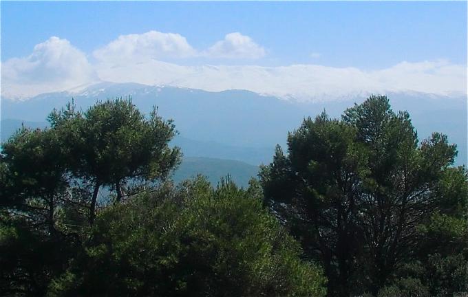 image Bosque mediterráneo