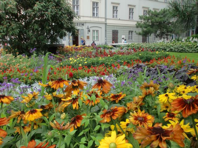 image Flores, Budapest (Hungría)