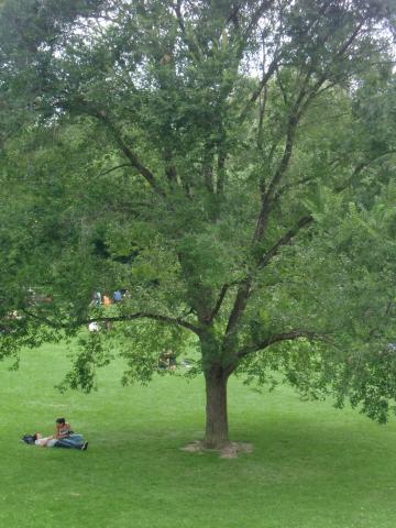 image Parque Burggarten, Viena (Austria)