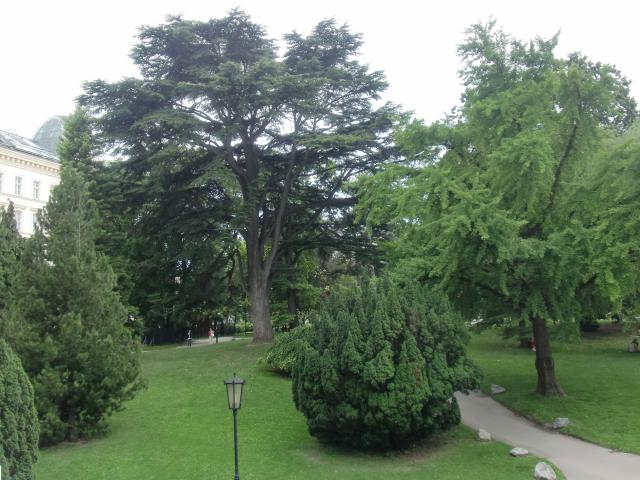 image Parque Burggarten, Viena (Austria)