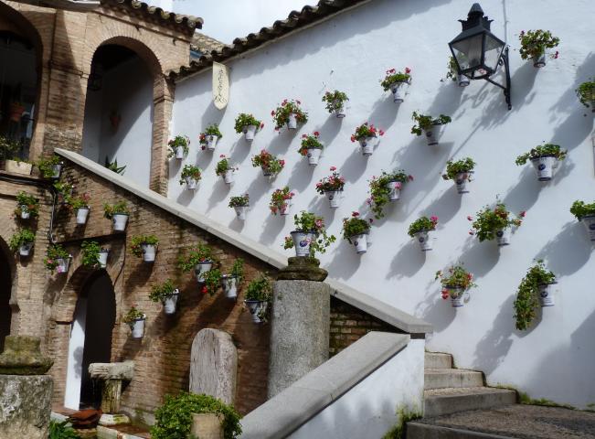 Zoco  Municipal de Córdoba con sus macetas