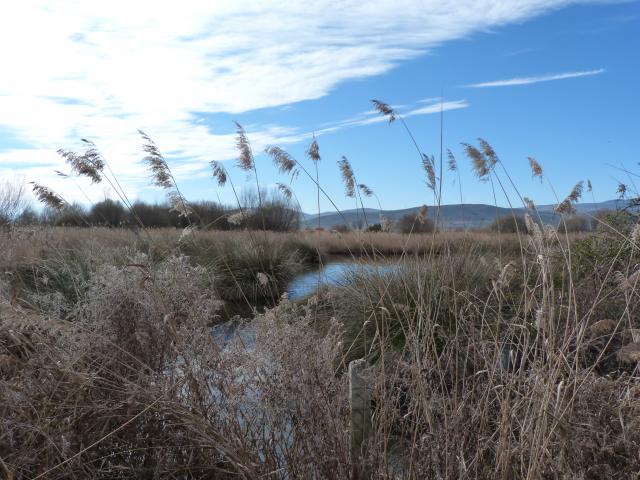 image Laguna de Padul