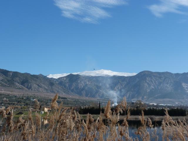 image La laguna del Padul y Sierra Nevada