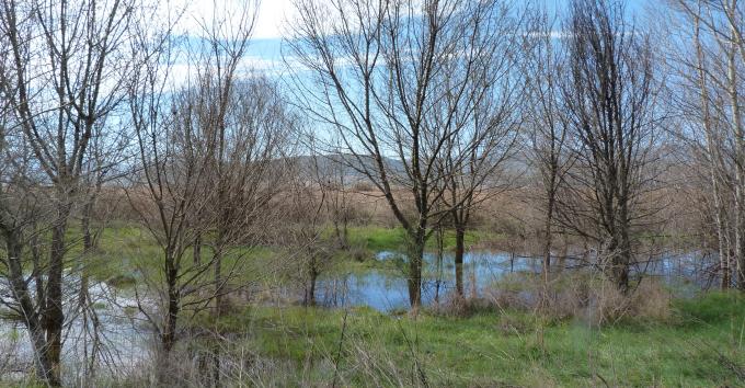 image Laguna de Padul