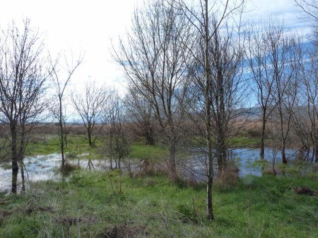 image Laguna de Padul