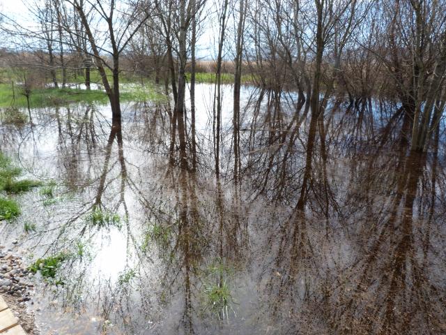image Laguna de Padul