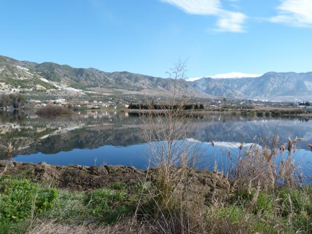 image Laguna de Padul