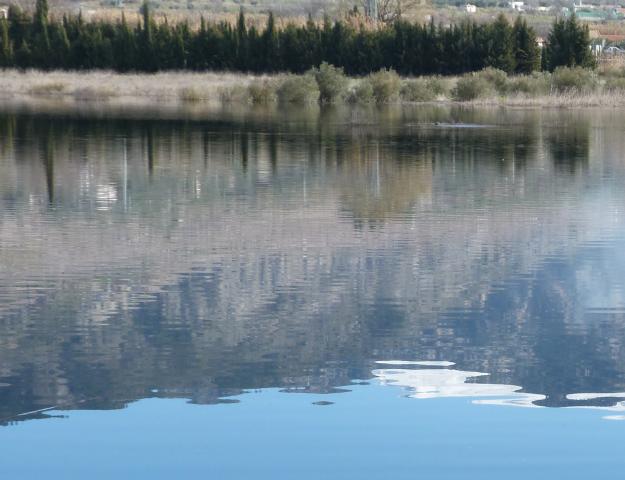 image Laguna de Padul
