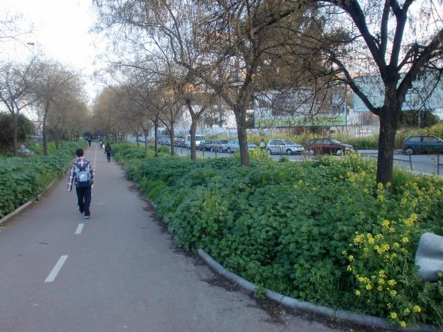 image Vía ciclista