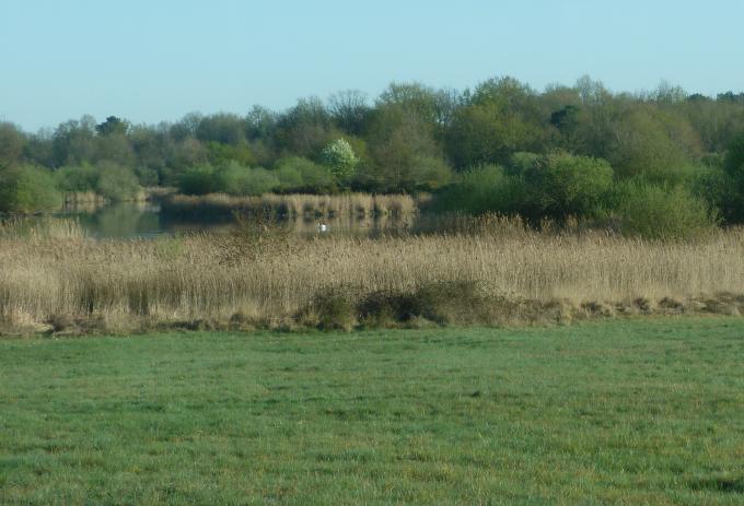 image Parque natural regional de Brenne