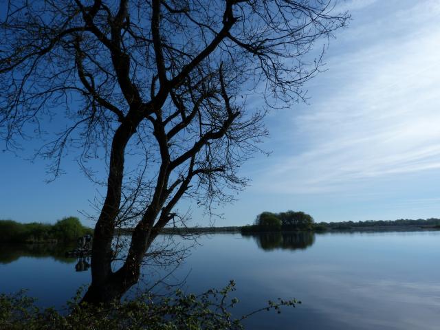 image Parque natural regional de Brenne