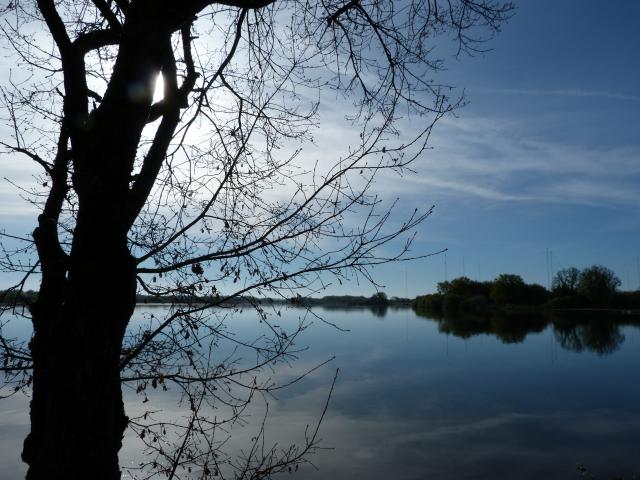 image Parque natural regional de Brenne