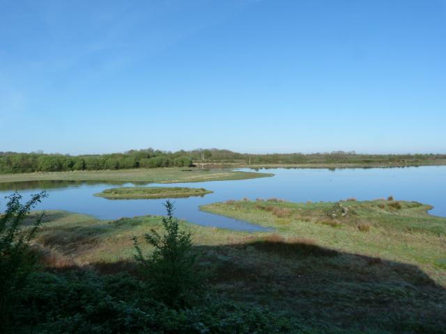 image Lagunas del parque natural regional de Brenne