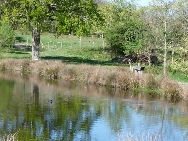 image Parque natural regional de Brenne