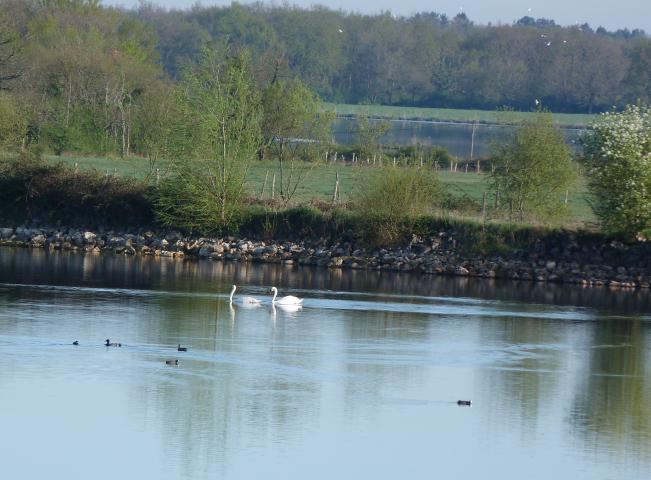 image Parque natural regional de Brenne