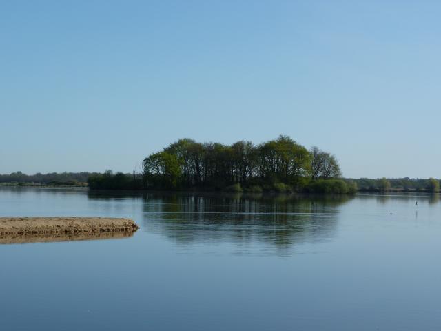 image Parque natural regional de Brenne