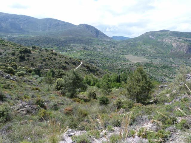 image Vegetación de Quéntar