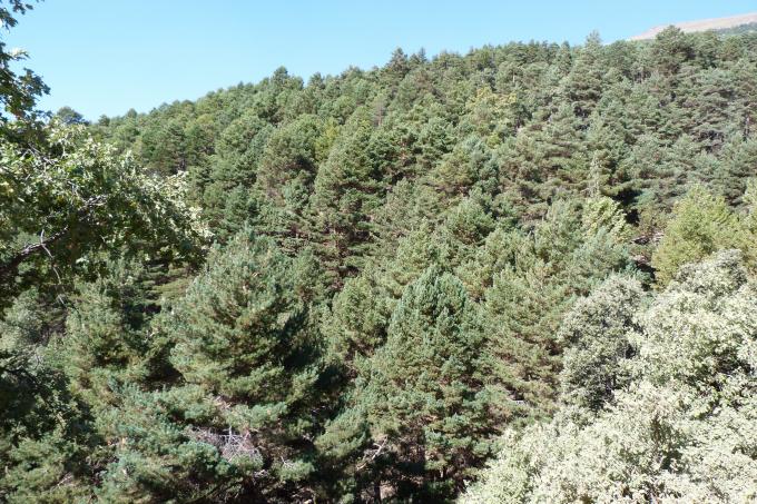 Sierra de la Alpujarra