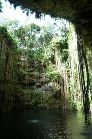 image Cenote