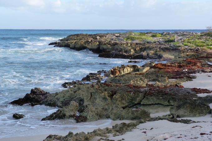 image Playa de Akumal