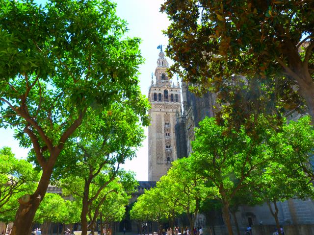 Giralda