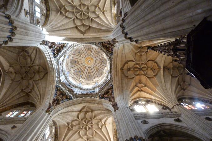 Bóvedas de la Catedral de Salamanca