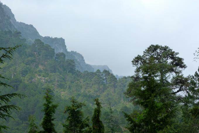 Parque natural de las Sierras de Cazorla, Segura y Las Villas