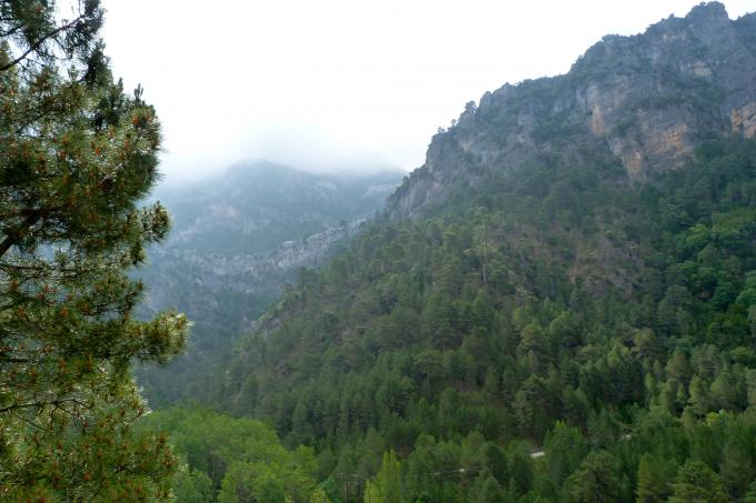 Parque natural de las Sierras de Cazorla, Segura y Las Villas