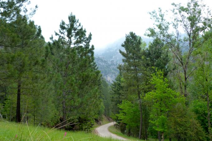 Parque natural de las Sierras de Cazorla, Segura y Las Villas