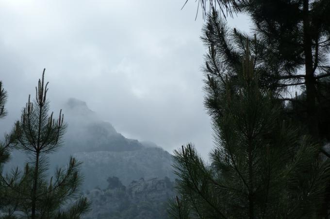 Parque natural de las Sierras de Cazorla, Segura y Las Villas
