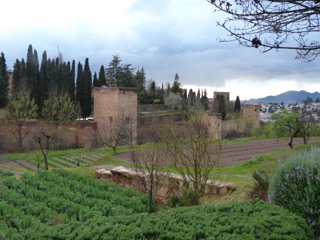 image Alcazaba de la Alhambra 