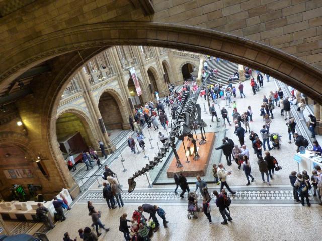 image Museo de historia natural