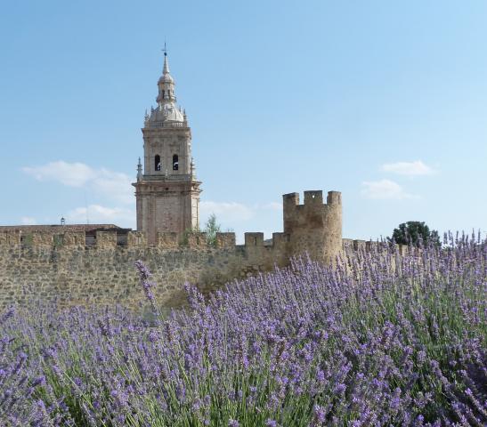 image Catedral de El Burgo de Osma
