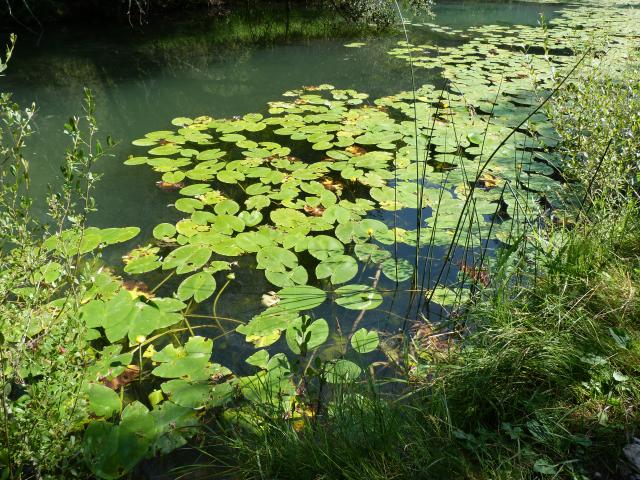 image Parque natural del Cañón del Río Lobos