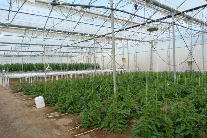 image Finca las palmerillas