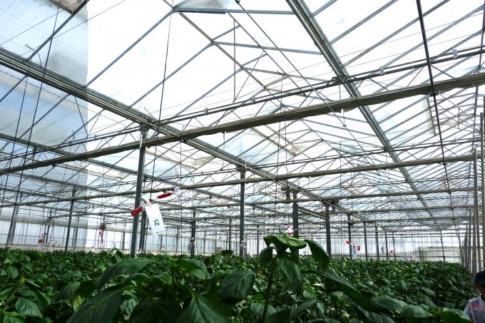 image Finca Las Palmerillas