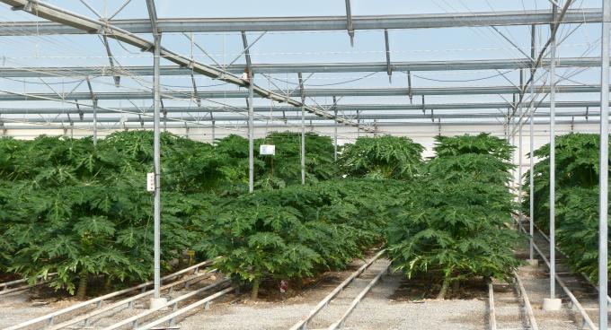 image Finca Las Palmerillas