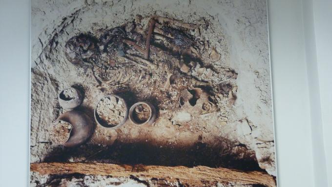 image Museo arqueológico de Galera