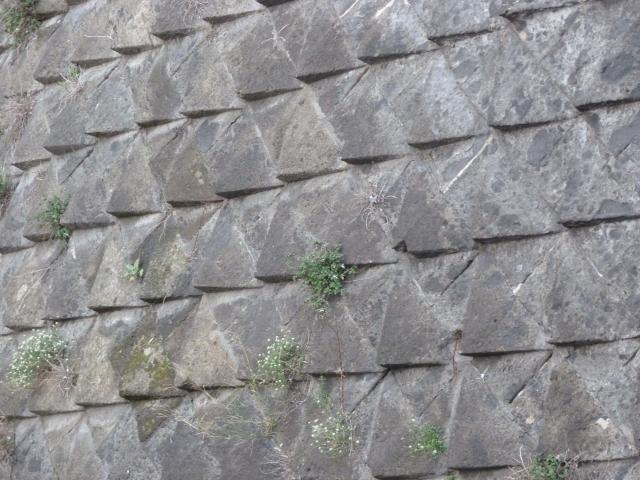 image Castillo Nuevo de Nápoles 