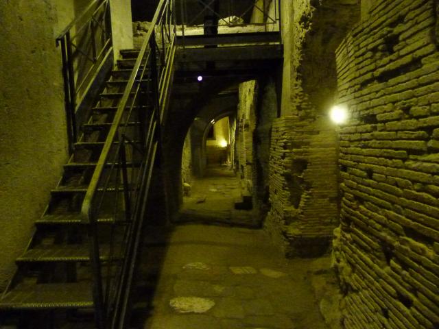 image Cardo de Nápoles