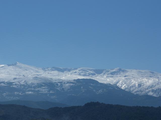image Sierra nevada de Granada y masa forestal