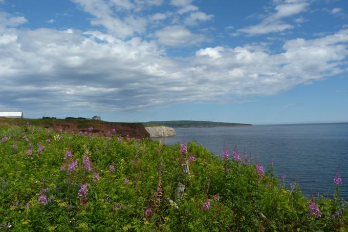 image Isla Bonaventure