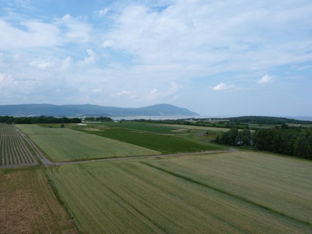 image Agricultura extensiva