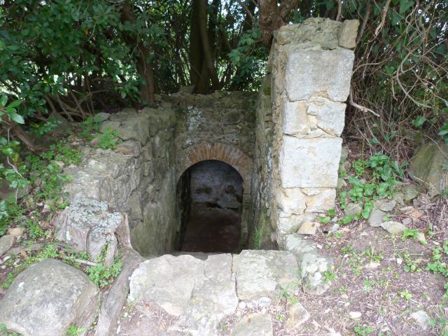 image Tumbas etruscas