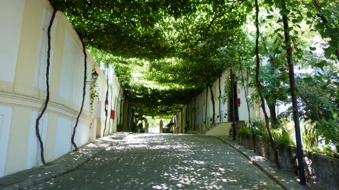 image Jerez de la Frontera