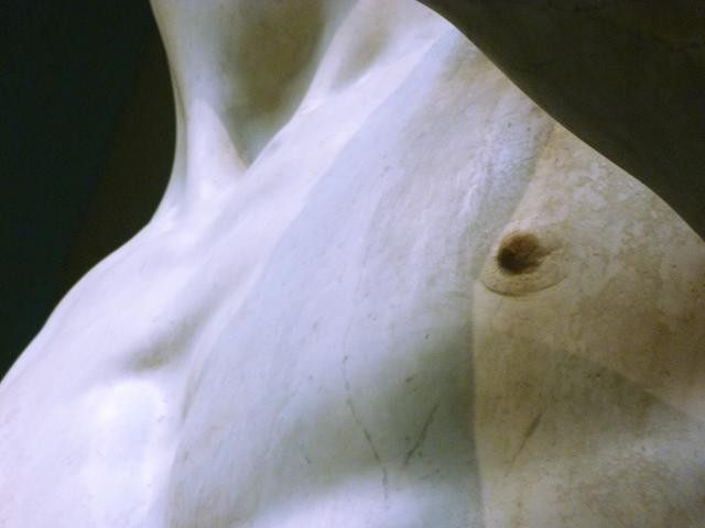 image Galería de la Academia de Florencia. 